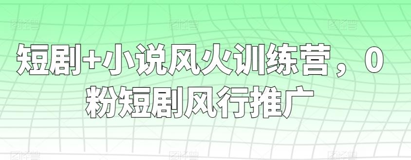 短剧+小说风火训练营，0粉短剧风行推广-七七项目网