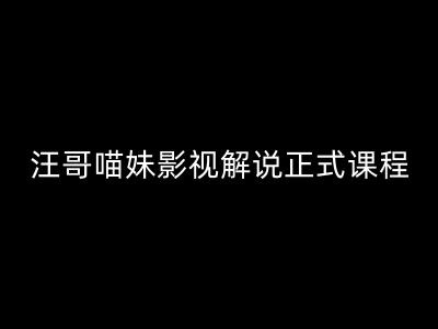 汪哥影视解说正式课程：剪映/PR教学/视解说剪辑5大黄金法则/全流程剪辑7把利器等等-七七项目网