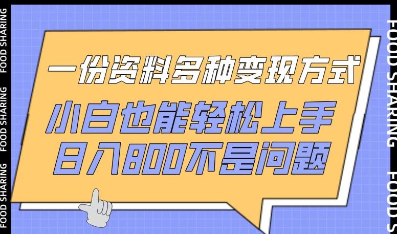 一份资料多种变现方式，小白也能轻松上手，日入800不是问题【揭秘】-七七项目网