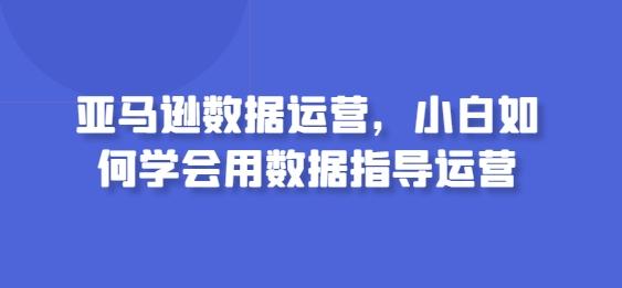亚马逊数据运营，小白如何学会用数据指导运营-七七项目网