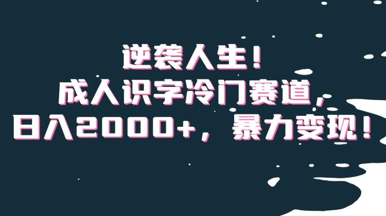 逆袭人生！成人识字冷门赛道，日入2000+，暴力变现！【揭秘】-七七项目网