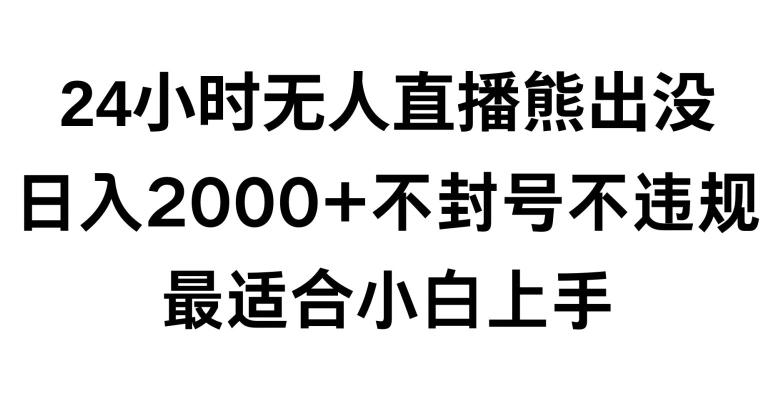 快手24小时无人直播熊出没，不封直播间，不违规，日入2000+，最适合小白上手，保姆式教学【揭秘】-七七项目网