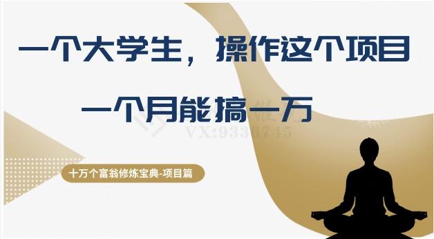 十万个富翁修炼宝典之4.一个大学生操作这个项目，一个月能搞一万-七七项目网