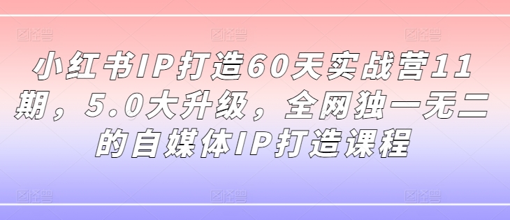 小红书IP打造60天实战营11期，5.0大升级，全网独一无二的自媒体IP打造课程-七七项目网