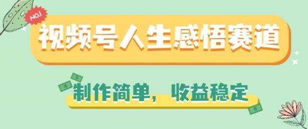 视频号人生感悟赛道，制作简单，收益稳定【揭秘】-七七项目网