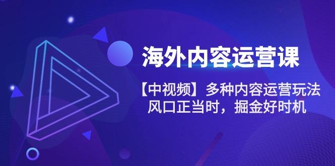 海外内容 运营课【中视频】多种内容运营玩法 风口正当时 掘金好时机-101节-七七项目网