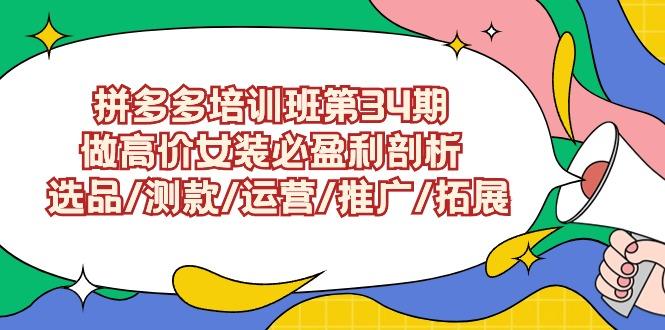 (9333期)拼多多培训班第34期：做高价女装必盈利剖析  选品/测款/运营/推广/拓展-七七项目网
