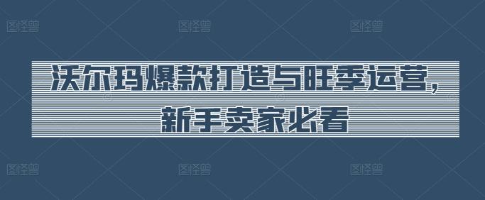 沃尔玛爆款打造与旺季运营，新手卖家必看-七七项目网