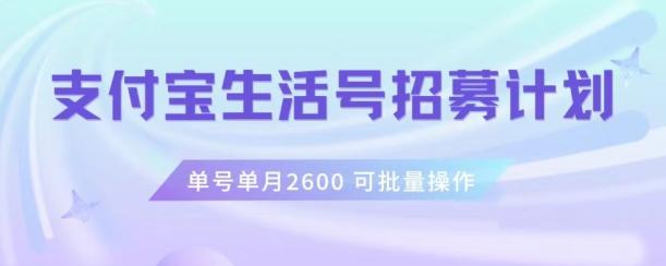 支付宝生活号作者招募计划，单号单月2600，可批量去做，工作室一人一个月轻松1w+【揭秘】-七七项目网