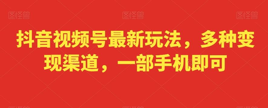 抖音视频号最新玩法，多种变现渠道，一部手机即可-七七项目网