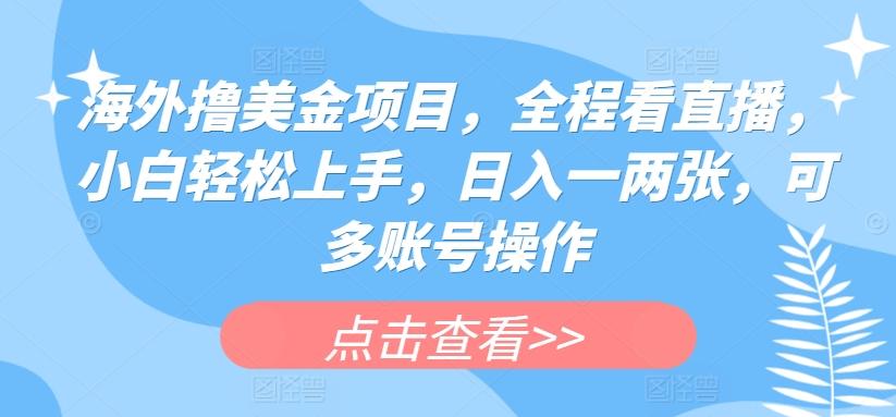 海外撸美金项目，全程看直播，小白轻松上手，日入一两张，可多账号操作【揭秘】-七七项目网