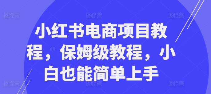 小红书电商项目教程，保姆级教程，小白也能简单上手-七七项目网
