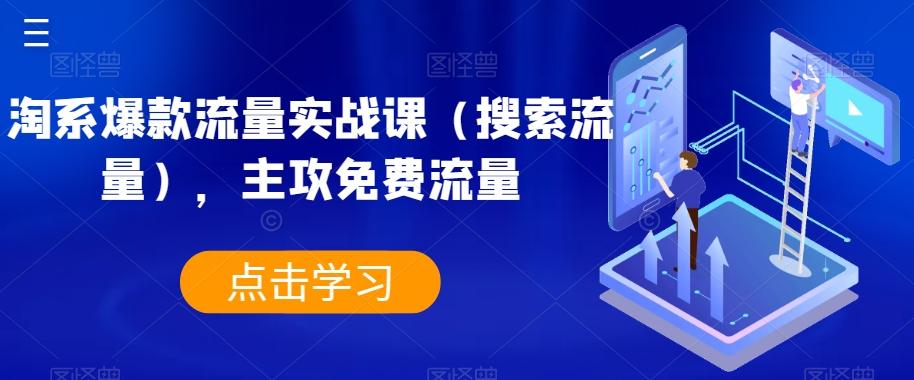 淘系爆款流量实战课（搜索流量），主攻免费流量-七七项目网