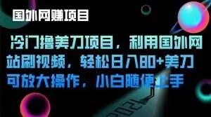 冷门撸美刀项目，利用国外网站刷视频，轻松日入80+美刀，可放大操作，小白随便上手-七七项目网