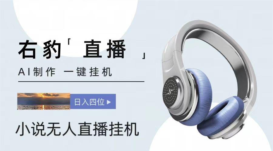 右豹小说无人直播挂机吸金项目，简单易行收益稳定， 月入1000+-七七项目网
