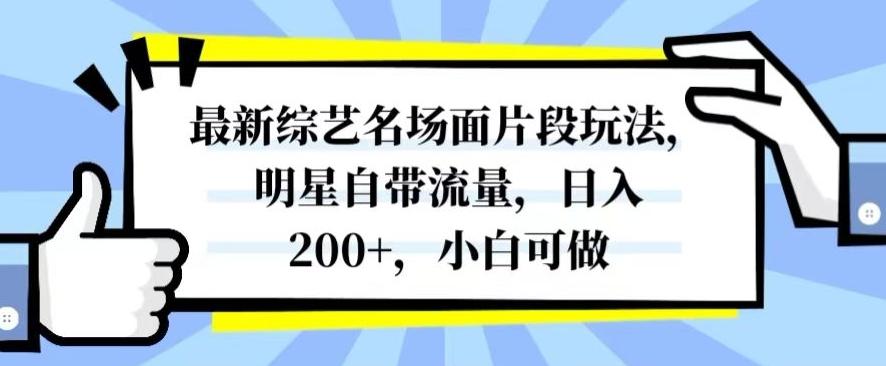 最新综艺名场面片段玩法，明星自带流量，日入200+，小白可做【揭秘】-七七项目网
