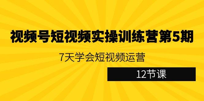 视频号短视频实操训练营第5期：7天学会短视频运营(12节课)-七七项目网