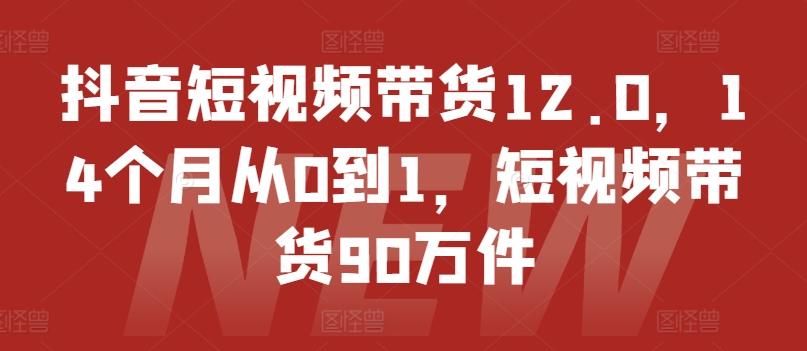 抖音短视频带货12.0，14个月从0到1，短视频带货90万件-七七项目网