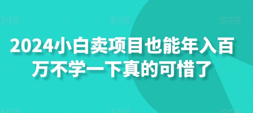2024小白卖项目也能年入百万不学一下真的可惜了-七七项目网