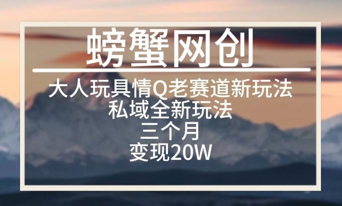 大人玩具情Q用品赛道私域全新玩法，三个月变现20W，老项目新思路【揭秘】-七七项目网