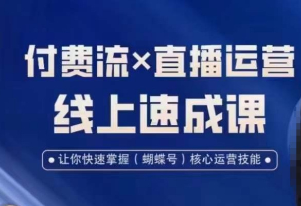 视频号付费流实操课程，付费流✖️直播运营速成课，让你快速掌握视频号核心运营技能-七七项目网