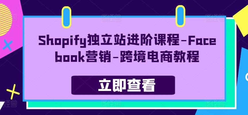 Shopify独立站进阶课程-Facebook营销-跨境电商教程-七七项目网