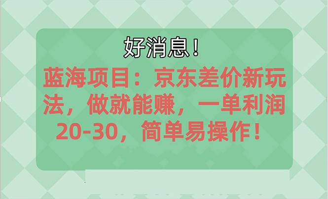 越早知道越能赚到钱的蓝海项目：京东大平台操作，一单利润20-30，简单…-七七项目网