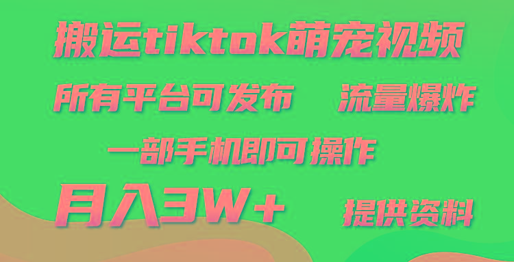 (9618期)搬运Tiktok萌宠类视频，一部手机即可。所有短视频平台均可操作，月入3W+-七七项目网