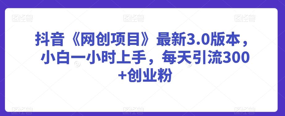 抖音《网创项目》最新3.0版本，小白一小时上手，每天引流300+创业粉【揭秘】-七七项目网