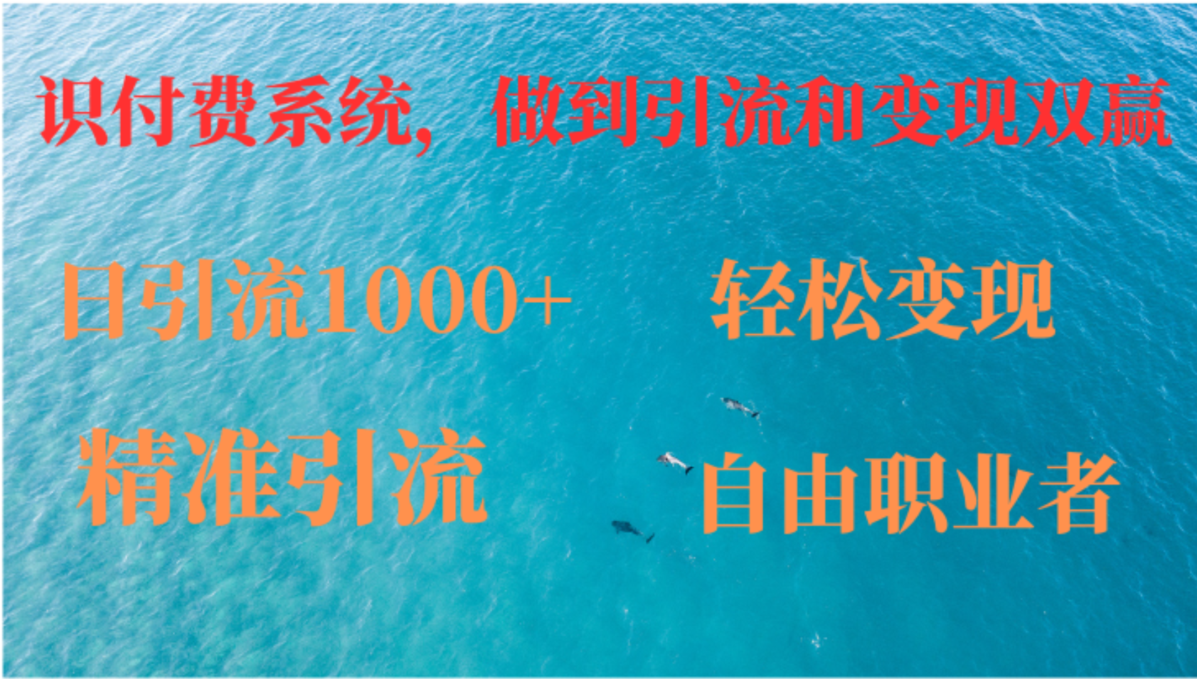 如何搭建自己的知识付费系统，做到引流和变现双赢-七七项目网