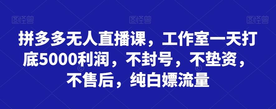 拼多多无人直播课，工作室一天打底5000利润，不封号，不垫资，不售后，纯白嫖流量-七七项目网