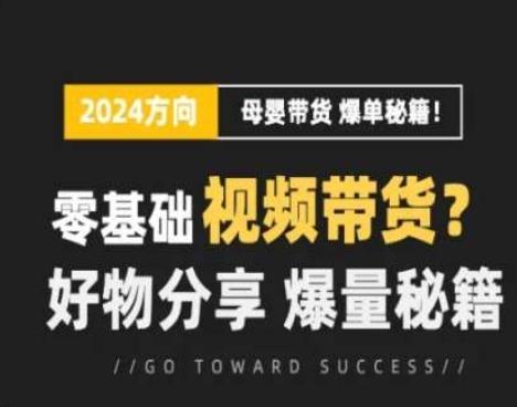 短视频母婴赛道实操流量训练营，零基础视频带货，好物分享，爆量秘籍-七七项目网