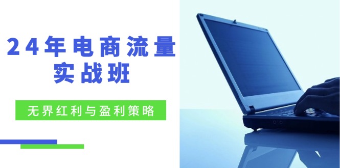24年电商流量实战班：无界 红利与盈利策略，终极提升/关键词优化/精准…-七七项目网