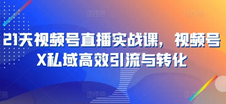 21天视频号直播实战课，视频号X私域高效引流与转化-七七项目网