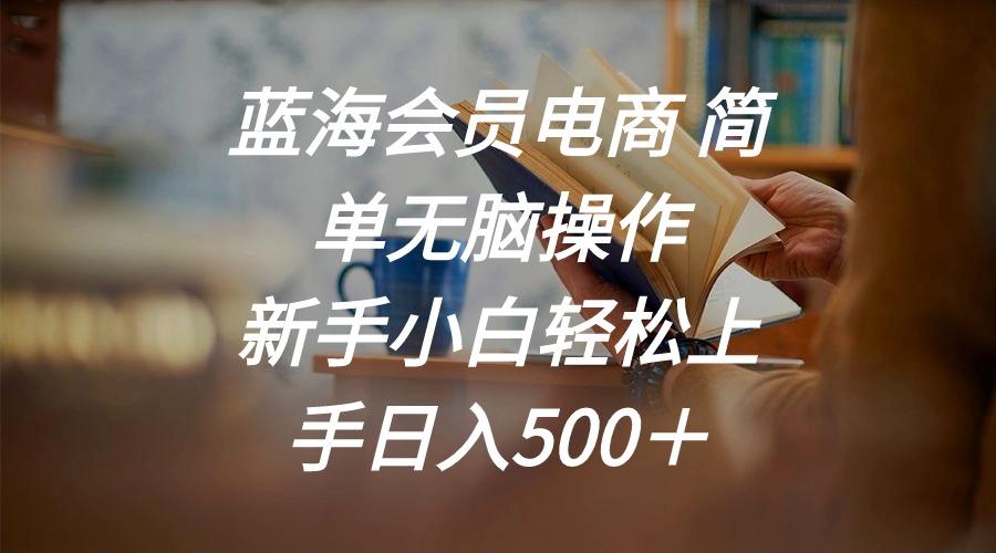 蓝海会员电商 简单无脑操作 新手小白轻松上手日入500＋-七七项目网