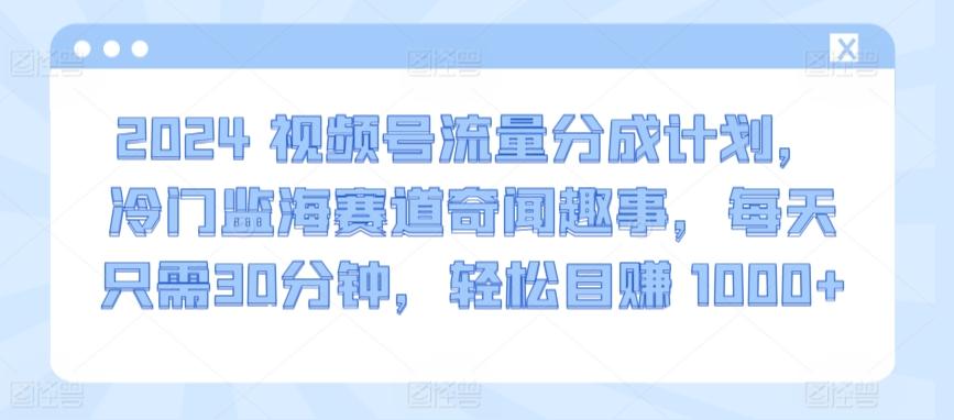 2024视频号流量分成计划，冷门监海赛道奇闻趣事，每天只需30分钟，轻松目赚 1000+【揭秘】-七七项目网
