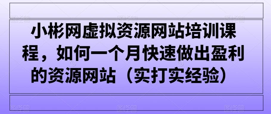 小彬网虚拟资源网站培训课程，如何一个月快速做出盈利的资源网站(实打实经验)-七七项目网