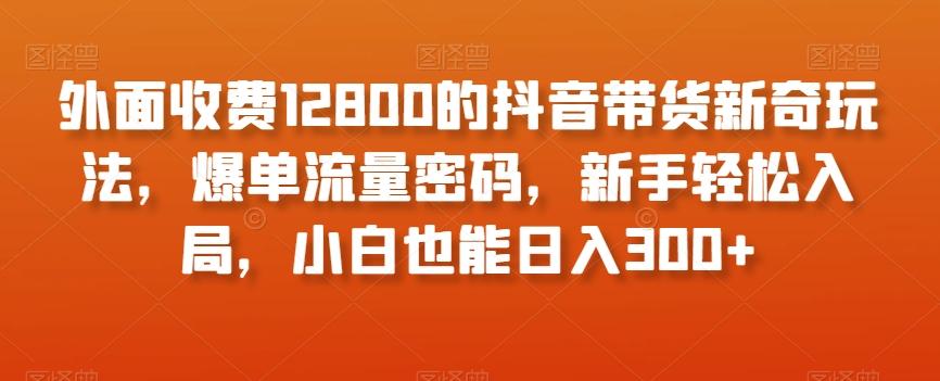 外面收费12800的抖音带货新奇玩法，爆单流量密码，新手轻松入局，小白也能日入300+【揭秘】-七七项目网