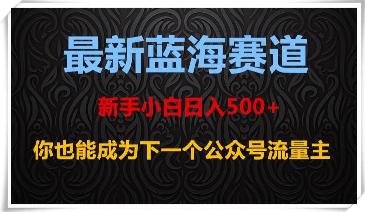 最新蓝海赛道，新手小白日入500+，你也能成为下一个公众号流量主【揭秘】-七七项目网