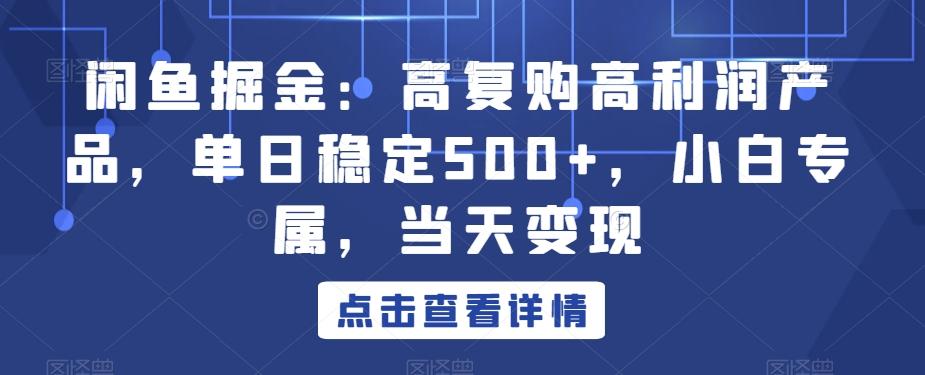 闲鱼掘金：高复购高利润产品，单日稳定500+，小白专属，当天变现-七七项目网