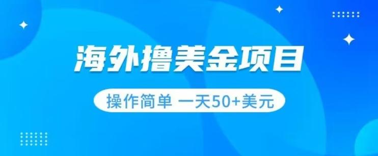 撸美金项目无门槛操作简单小白一天50+美刀-七七项目网