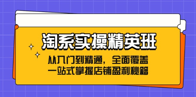 淘系实操精英班：从入门到精通，全面覆盖，一站式掌握店铺盈利秘籍-七七项目网