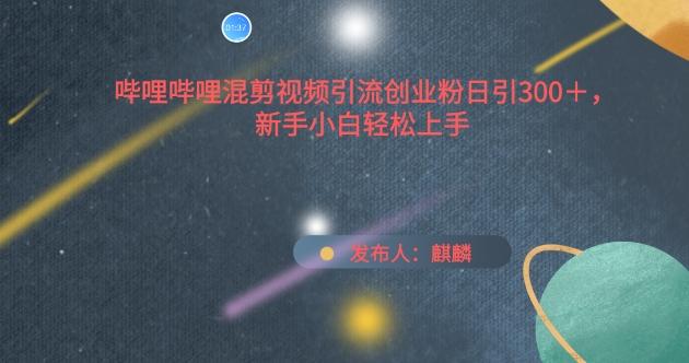 哔哩哔哩混剪视频引流创业粉日引300+，新手小白轻松上手【揭秘】-七七项目网