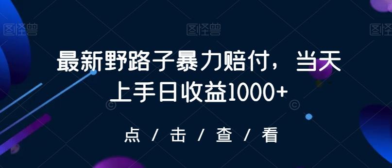 最新野路子暴力赔付，当天上手日收益1000+【仅揭秘】-七七项目网