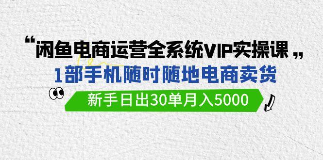 (9547期)闲鱼电商运营全系统VIP实战课，1部手机随时随地卖货，新手日出30单月入5000-七七项目网