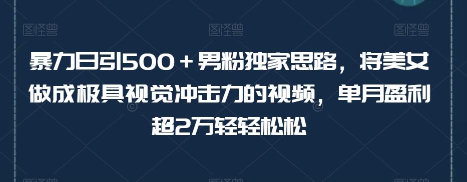 暴力日引500＋男粉独家思路，将美女做成极具视觉冲击力的视频，单月盈利超2万轻轻松松-七七项目网