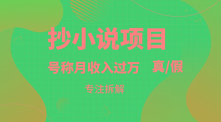 抄小说项目，号称月入过万，到底是否真实，能不能做，详细拆解-七七项目网