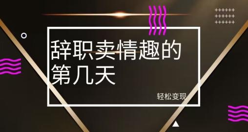 冷门赛道，辞职卖情趣的第几天，超暴力项目-七七项目网