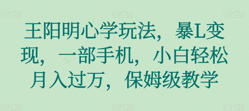 王阳明心学玩法，暴L变现，一部手机，小白轻松月入过万，保姆级教学【揭秘】-七七项目网