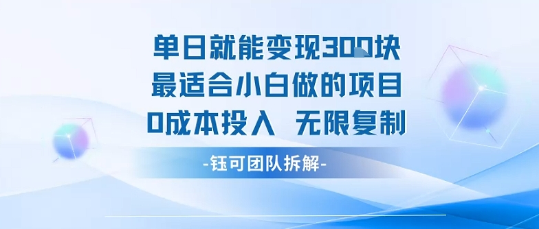 单日就能变现3张最适合小白做的项目0成本投入 无限复制-七七项目网